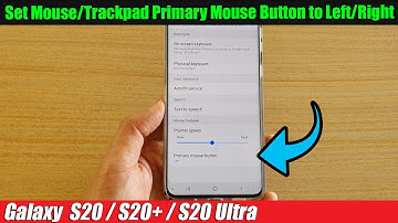 Galaxy S20/S20+: How to Set Mouse/Trackpad Primary Mouse Button to Left/Right