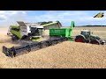 Getreideernte 2023 gerste dreschen m.rescher claas traktor fendt lohnunternehmer landwirtschaft 4