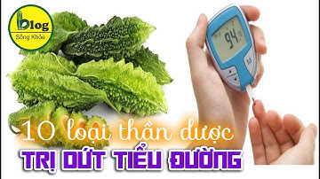 Trị tiểu đường tận gốc bằng 10 poại cây thuốc nam trong góc vườn