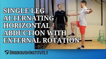 Single Leg Alternating Horizontal Abduction with External Rotation