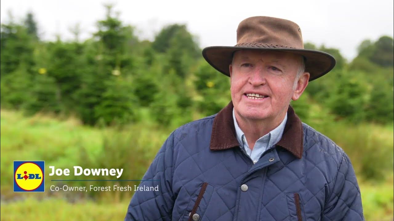 Lidl Ireland Christmas Tree Supplier Story YouTube