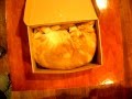 cat in the box