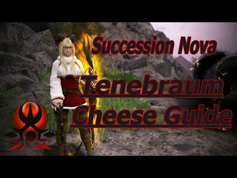 Black Desert Online | Tenebraum Cheese Guide | Succession Nova Grind Jan 2026