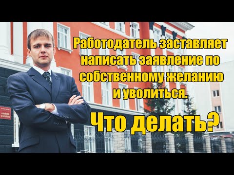 Работодатель заставляет написать заявление по собственному желанию и уволиться. Что делать в 2024?