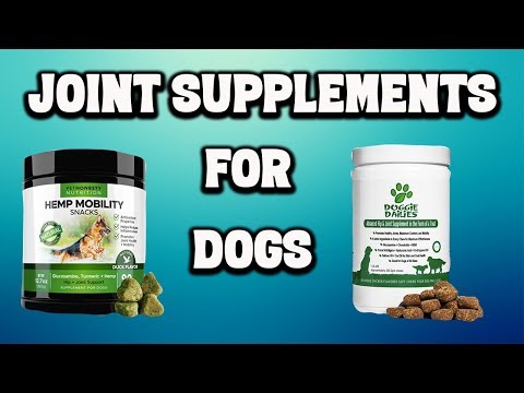 best-joint-supplements-for-dogs-2020