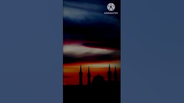 قران كريم سوره الزلزال 🤍 حالات واتس اب ☘️