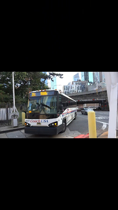 port authority buses