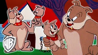 Tom y Jerry en Latino | Momentos de Spike & Tyke | WB Kids