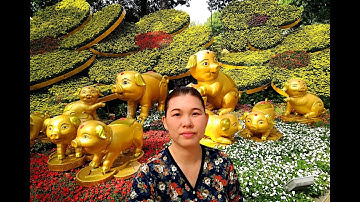 HỘI HOA XUÂN TẾT KỶ HỢI 2019 TẠI CÔNG VIÊN TAO ĐÀN P.1