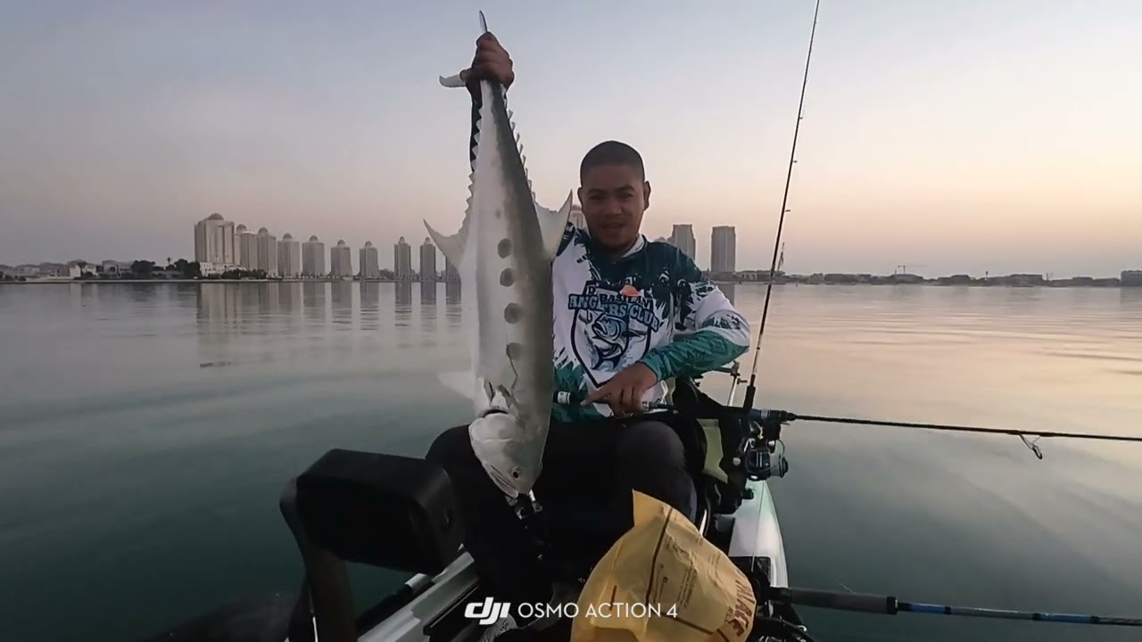 Maguro samurai v2 PE1-3 | kayak trolling in doha Qatar 