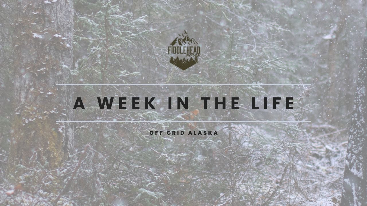 Week in the Life Off Grid | First Snow of the Season - YouTube