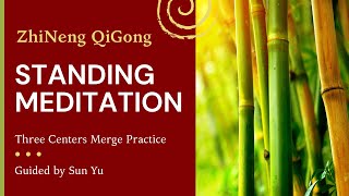 ZHINENG QIGONG Standing Meditation with Sun Yu (1 hour)