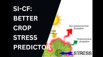 Solar Induced Chlorophyll Fluorescence   A Better Predictor of Crop Stress through Satellite Remote