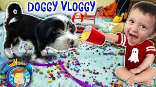 IT'S OREO! FUNnel V Fam Doggy Vloggy! Who's Harder to Handle, Puppy or Baby After Christmas Vlo screenshot 5