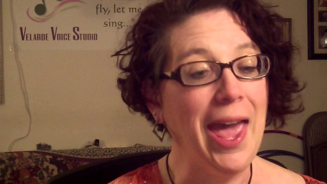 Spoken Text: Vedrai carino: Don Giovanni -  Mozart