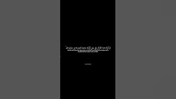 ردة فعل جميلة على سورة الحشر للشيخ ياسر الدوسري #video #part9 #quran #from @the treatert7