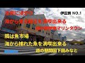 【エブリィワゴンで行く！熟年夫婦旅】海と朝日と温泉、道の駅伊東マリンタウン　魚市場から新鮮なお魚を、道の駅開国下田みなと 伊豆旅NO1