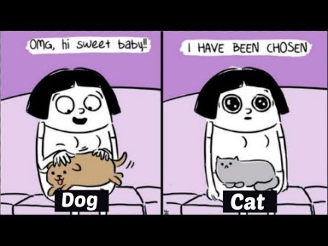 Hilarious Comics That Perfectly Illustrate The Differences ...