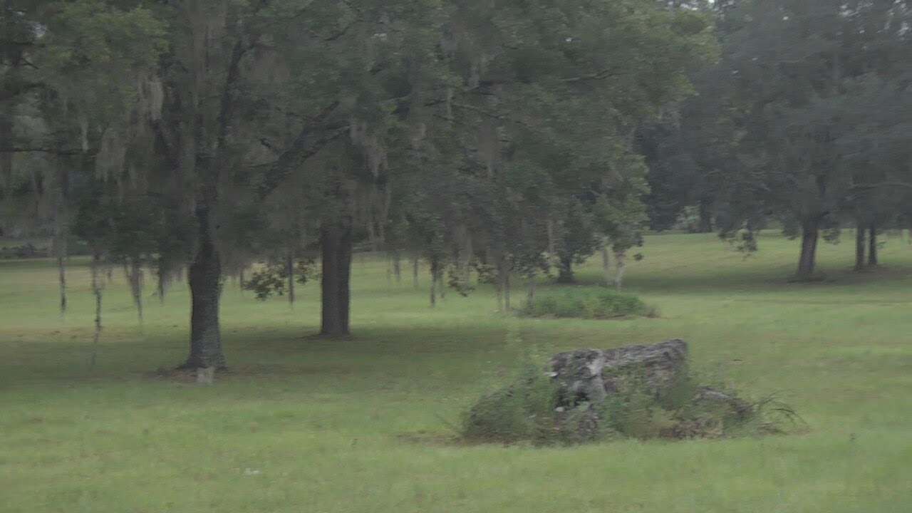 Newberry Commissioners change lot zoning, make way for business and housing project YouTube