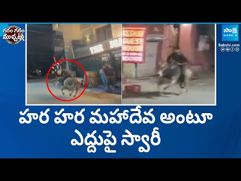 ఎద్దు ఫై సవారి | Man Crazy Raiding On Bull | Garam Garam Varthalu | @SakshiTV - SAKSHITV