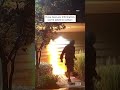 Arson Suspect Torches Homeowner’s Mailbox #shorts