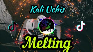 Kali Uchis - Melting DJ | Selow Remix 2023 (Indonesian Version Music)