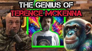 Joe Rogan STUNNED by Terence McKenna: "Cultural is NOT your Friend"