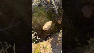 Dropping a Rock Down the Deepest Well I Know!
Dropping a Rock Down the Deepest Well I Know! Dropping a Rock Down the Deepest Well I Know!