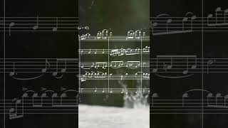 Missing You #orchestra #music