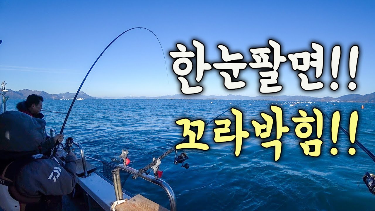 [다리tv] 한눈 팔면!! 꼬라 박히는!!! 감성돔 카고 낚시 ㄱㄱㄱ!!!