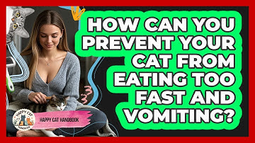 How Can You Prevent Your Cat From Eating Too Fast And Vomiting? - Happy Cat Handbook