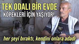 Tek Odalı Bir Evde Köpekleri için Yaşıyor! Her Şeyi Bıraktı, Kendini Onlara Adadı - Türk Aslanları