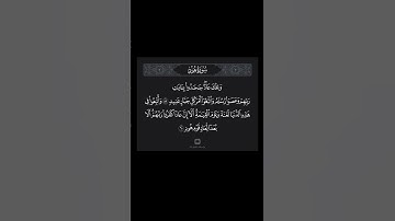 ﴿وَتِلكَ عادٌ جَحَدوا بِآياتِ رَبِّهِم ﴾ [هود: 59] الشيخ سعد الغامدي
