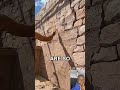 Extreme Creative Wall Art