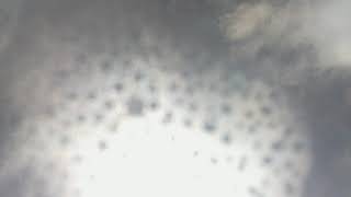 Weather Cam Facing Up in Yuma, Az  2020-04-10 (day)
