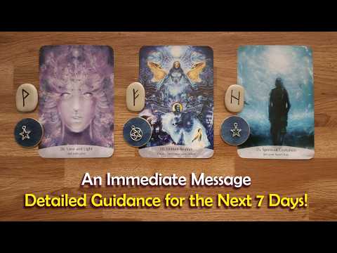 An Immediate Message with Detailed Guidance for the Next 7 Days 👉🏼📩⭐⭐⭐ WOW! Timeless Tarot Readings
