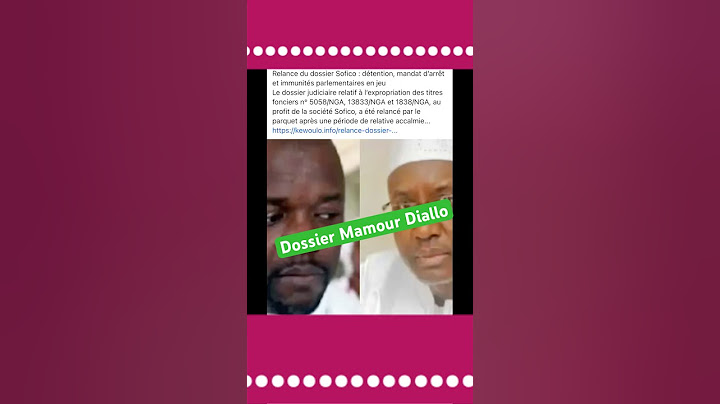 Mamour Diallo ci dossier 94 milliards