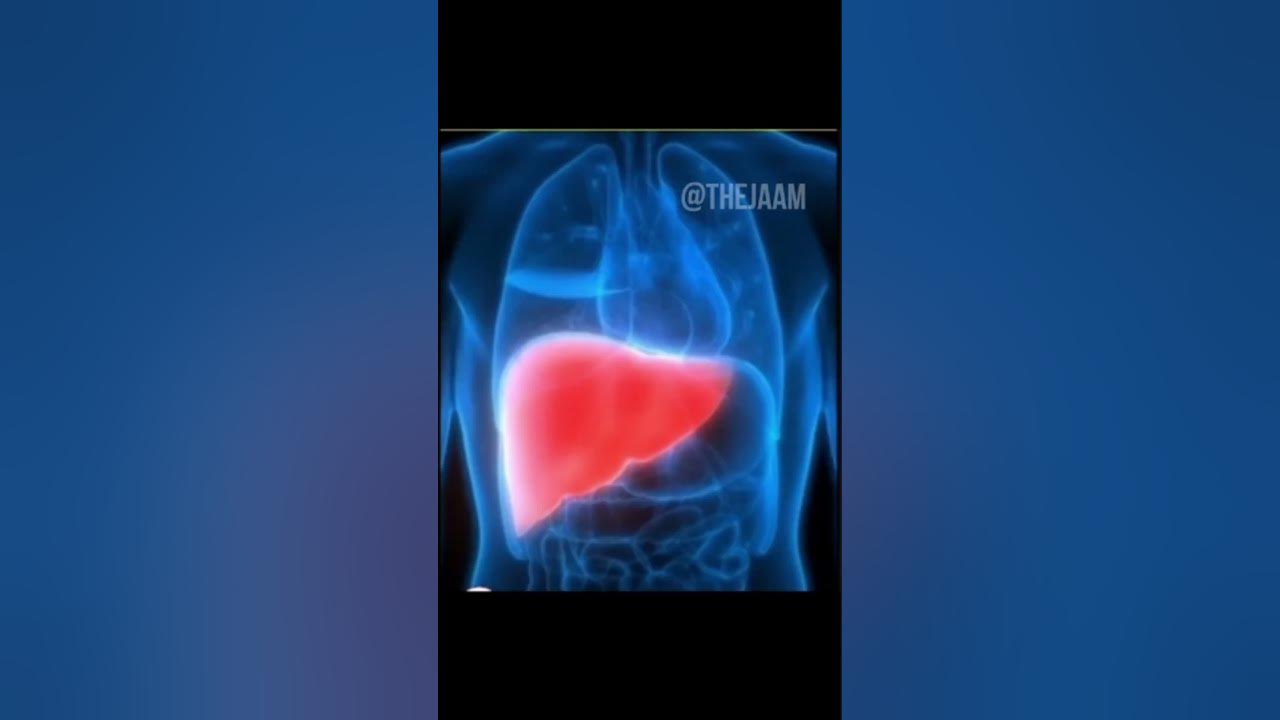 how-much-human-body-cost-shorts-ytshorts-trendingshorts-viral