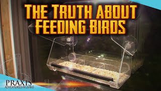 The Reality of Living in the Countryside
In this video, I discuss one of the best reasons to move out into the country, and one of the ways that Im taking advantage of it with an animal feeder to attract local birds. The bird feeder is made by Ermete and (as these things go) seems reasonably well built. So far so good anyhow...
#ermete #bird feeder #amazinfind #ermete
ITEMS APPEARING IN THIS VIDEO:
Ermete Window Bird Feeder: https://amzn.to/3F8Dpv4
I received this discount code for 15% off that you can probably use too: TV2OAAPG
Purchases made through the above links help to support this channel.
If you enjoy this channel and would like to see it continue, please consider supporting my work on Patreon at http://www.patreon.com/PraxisPrepper
or
Via Paypal at PraxisPrepper@gmail.com The Reality of Living in the Countryside