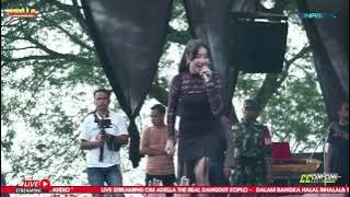 Download lagu Anak Lanang - Cantika Nuswantoro || Om.Adella live Sambongbangi, Grobogan