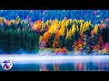 Relaxing Zen Music with Water Sounds • Peaceful Ambience for Spa, Yoga and Relaxation