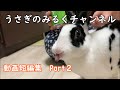 【サクサク見れる】短編集Part２【動画集めた】