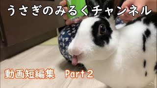 【サクサク見れる】短編集Part２【動画集めた】