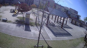 Turbowing DVR CYCLOPS 3  Tiny whoop in park