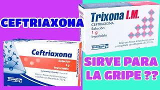 Ceftriaxone Intramuscular What It Is Used For And How To Prepare It