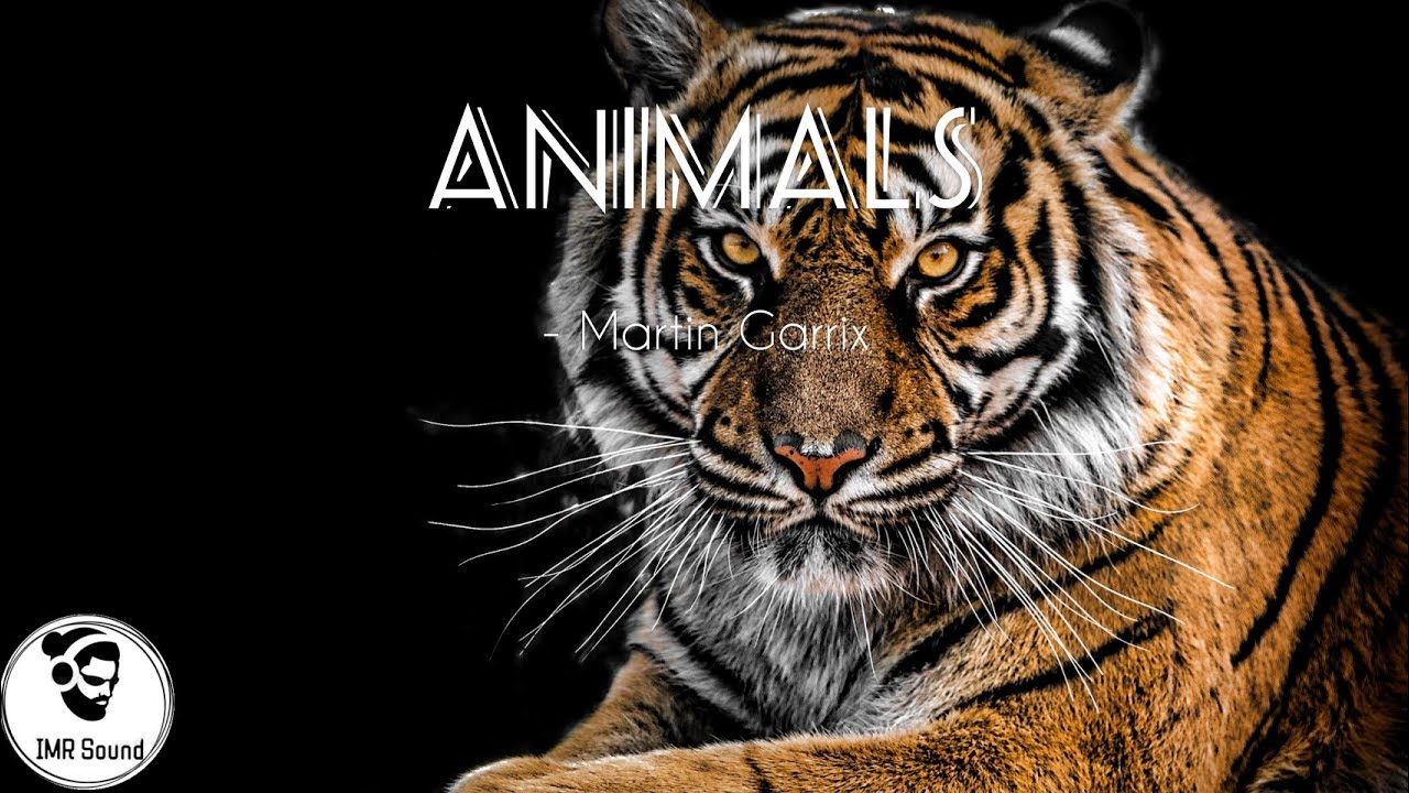 Martin Garrix - Animals [NCS Fanmade]