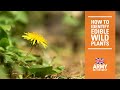 5 Edible Wild Plants - Bushcraft | How To | British Army