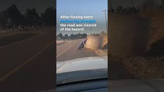A highway patrol trooper shows muscle moving hay bale off road