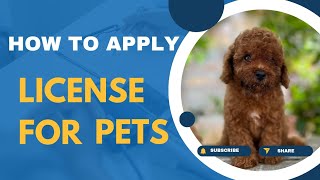 How to apply license for pets #pets #petowner #petlover #doglover #dogs #pets