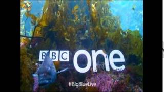 BBC One Big Blue Live Sting 3